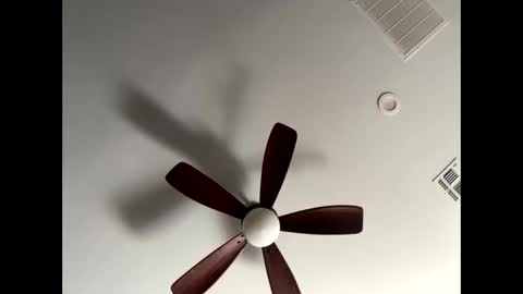 blueskyy56 online show from 01.13.26