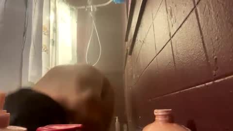 Snapshot of bmfkarijo chatting on 11.01.25 LovelyJolene online show from 11.01.25