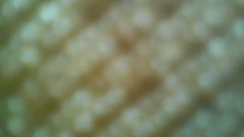 Snapshot of boatman00769 chatting on 05.31.26 Motto Motto online show from 05.31.26