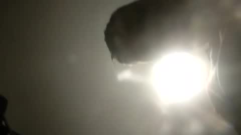 Snapshot of bobby160968 chatting on 02.24.25 bobby160968 online show from 02.24.25