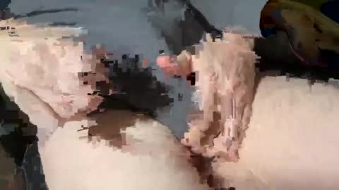 Heath online show from 03.03.25