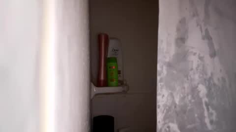 Snapshot of bobfish663 chatting on 01.31.26 bobfish663 online show from 01.31.26