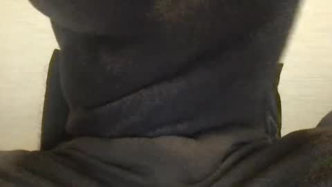 Snapshot of boblight221 chatting on 01.09.25 boblight221 online show from 01.09.25