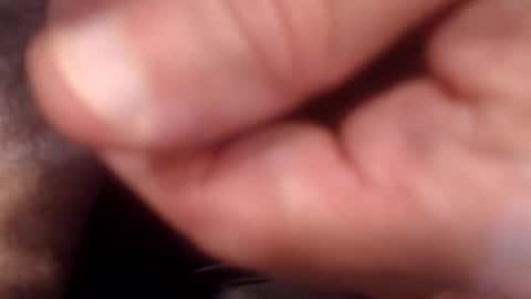 bobswan online show from 09.09.25