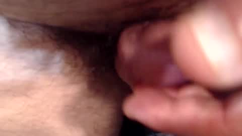 bobswan online show from 11.24.25