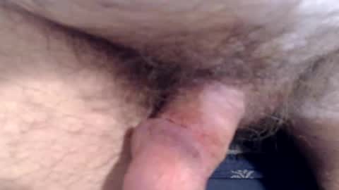 bobswan online show from 03.08.26