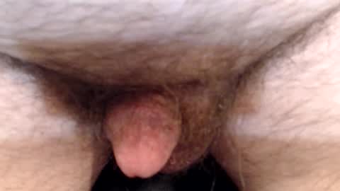 bobswan online show from 04.13.26