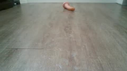 bocul1969 online show from 02.03.26