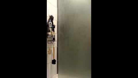 Sailorartemis online show from 12.15.25