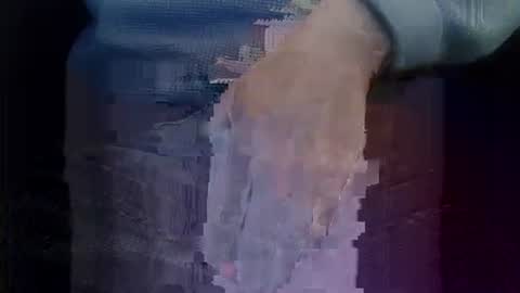 bogus25 online show from 03.01.26