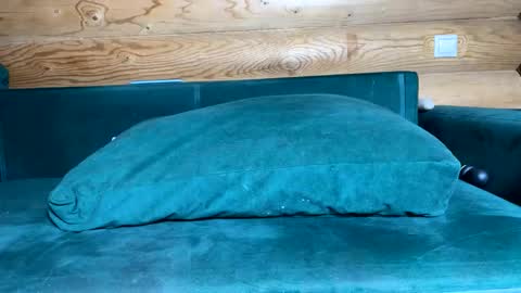 Nail and Olivia online show from 10.21.25