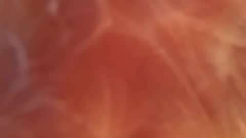 bombelpunk86 online show from 02.13.25