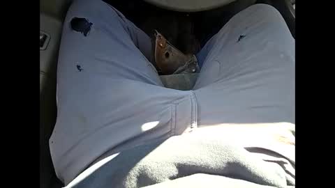 bombinshaman online show from 01.12.26