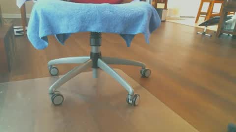 FRECKLES online show from 12.15.25