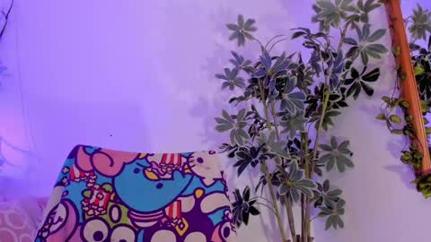   online show from 01.11.26