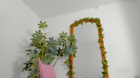   online show from 02.25.26