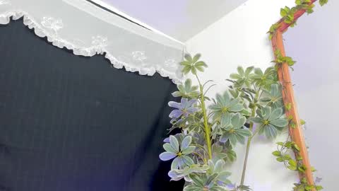   online show from 03.21.26