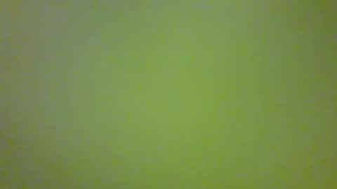 bonniediamond online show from 10.30.25