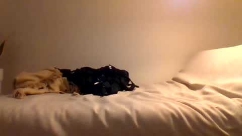 Snapshot of booty4pegging chatting on 03.03.25 booty4pegging online show from 03.03.25