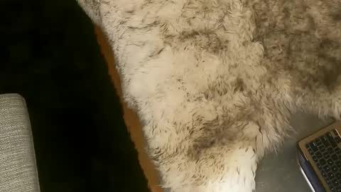 Kim and Kooper online show from 03.07.25