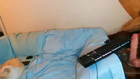 Snapshot of boredandirish21 chatting on 10.04.25 boredandirish21 online show from 10.04.25