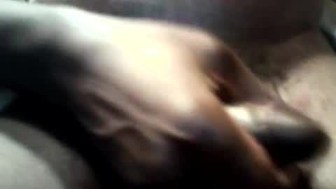 botofogo online show from 10.31.25