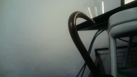 Snapshot of bottommlad chatting on 01.09.25 BottoMMlad online show from 01.09.25