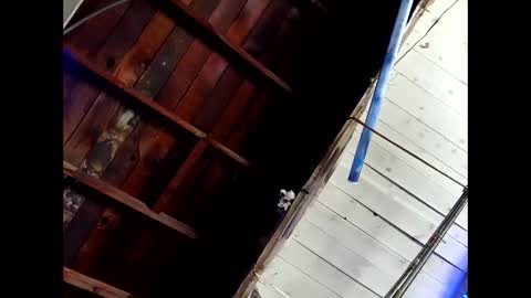 bouncr714 online show from 02.26.26