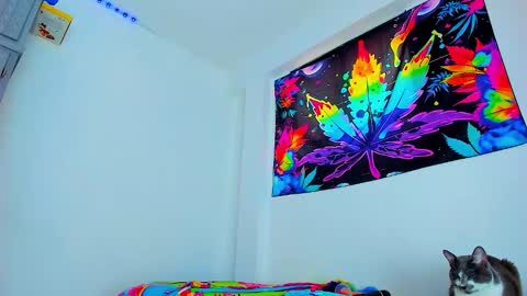 Edward ftm trans queerslave online show from 02.03.26