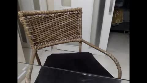 Snapshot of boymanbr110382 chatting on 11.14.25 SMOKEBRAZILIAN online show from 11.14.25