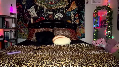 Puddin online show from 02.23.25