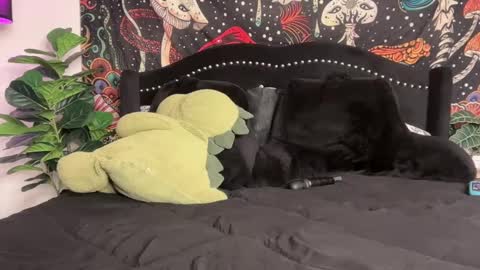 Puddin online show from 09.22.25