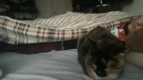 boywithbug online show from 02.13.25