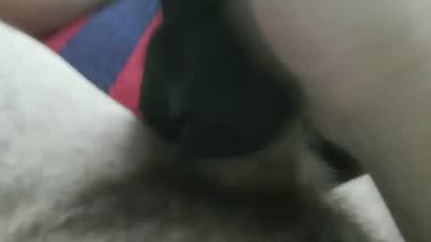 bpllpd online show from 12.23.25