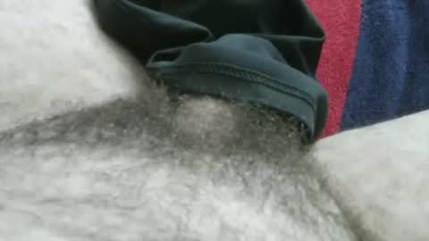 bpllpd online show from 01.11.26