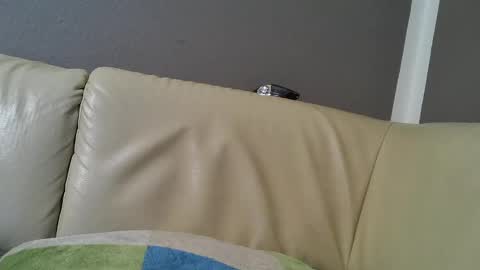 bramer8787 online show from 02.09.25