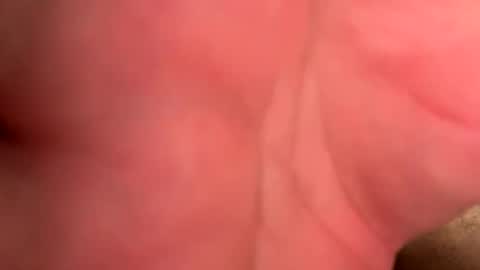 Branden online show from 04.15.26