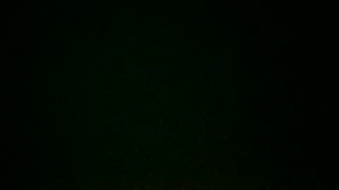 branngnu online show from 09.08.25