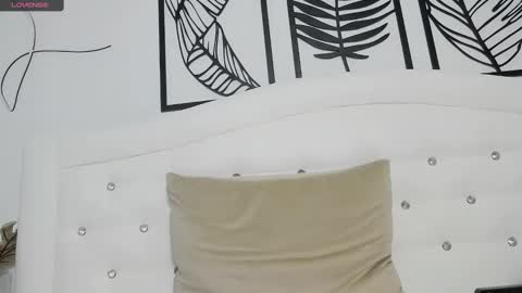 Snapshot of brell_line chatting on 02.16.25 Brelland online show from 02.16.25