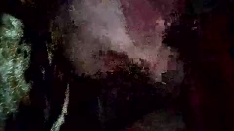 brennen1334 online show from 10.19.25