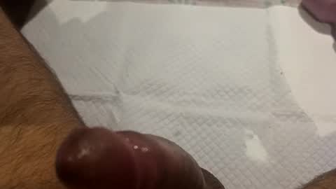 brenno95 online show from 02.21.26