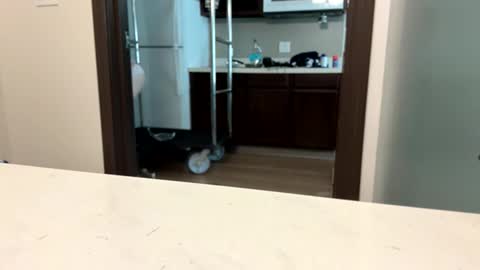 Snapshot of brickmeup chatting on 04.08.26 brickmeup online show from 04.08.26