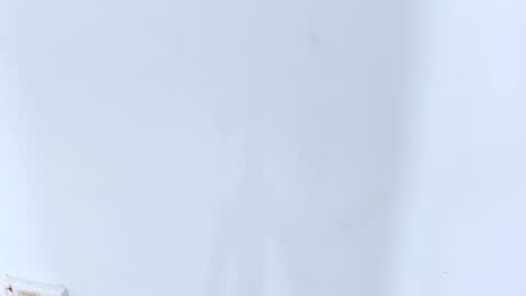 Brittany  online show from 02.20.25