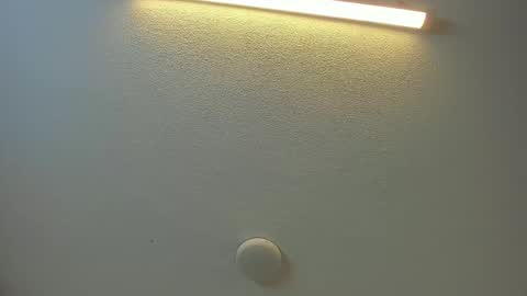 Brittany  online show from 02.08.26