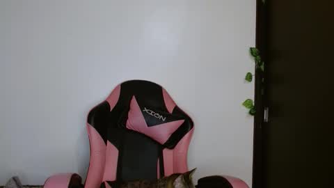 maru miaw   Please help me to reach 100 thumbs up online show from 02.20.26