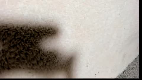 brockhurn_ online show from 09.15.25