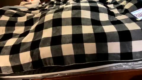 brownbootie1 online show from 01.07.25