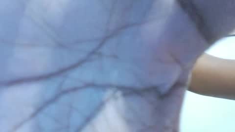 brownguy2505 online show from 01.19.26