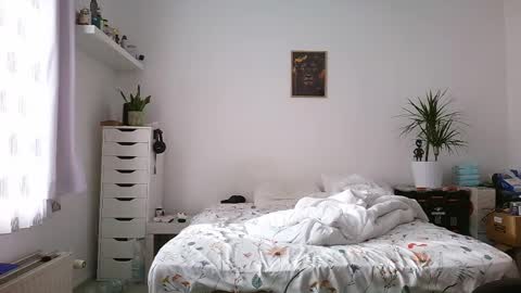 Bruce online show from 04.11.26