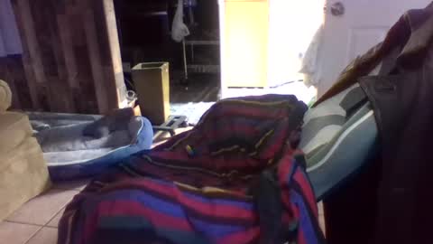 brutal3anddone online show from 10.16.25